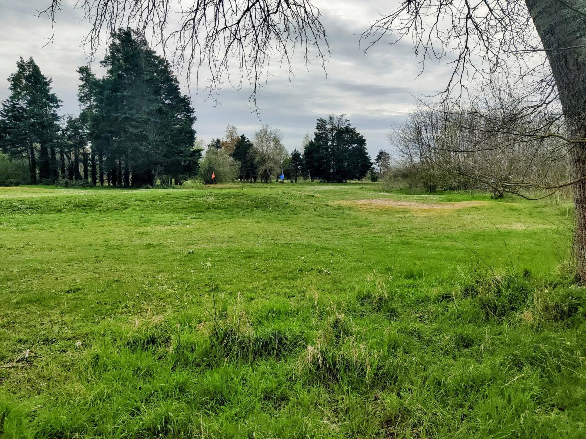 Ravissant Cottage Avec Jardin, Refait A Neuf, 2 A 5 Pers Cabourg Exteriör bild